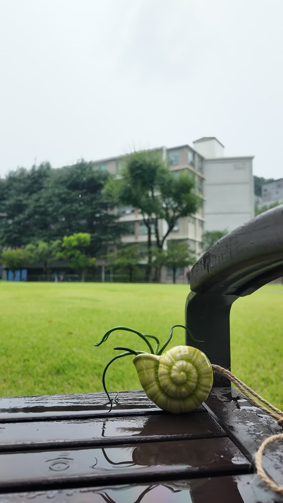 dji_mimo_20250919_151242_20250919151242_1758389615739_photo